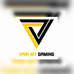 VainMY Gaming In-House League