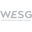 WESG 2017 - Finals