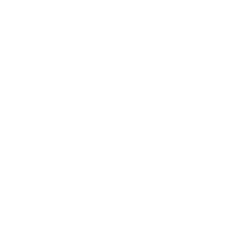 Morele E-biznes Cup
