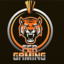 Fer Gaming - League