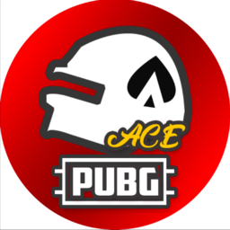 ACE "Streamer Challenge"-Squad