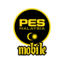 PESMY MOBILE CUP SESSION II