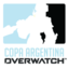 COPA ARGENTINA OVERWATCH