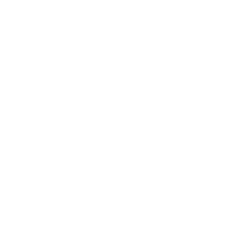 Champions Italy 2020