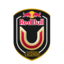 Red Bull Университеты 1