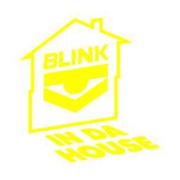 Blink In Da House