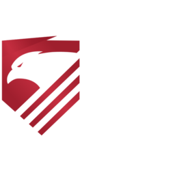 Polish Esport Cup - VALORANT