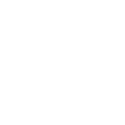 LCK 2020 Summer