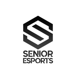 Senior eSports Summer Cup 2020