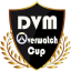 DVM Overwatch Cup #1