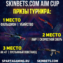 SKINBETS.COM AIM CUP