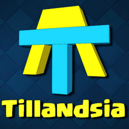 SRT_Recrutement Tillandsia™ #1