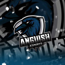 Anguish Overwatch Cup 2021