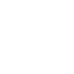 Arklop Cup