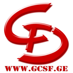 IESF 2021 Georgia Qualifier