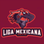 Liga Mexicana 5ta. División