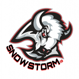 SnowStorm ID Summer league