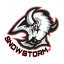 SnowStorm ID Summer league