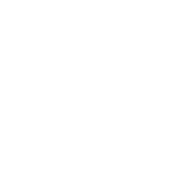 GL Arena 2021: FreeFire solo