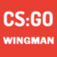 Open CS:GO Wingman