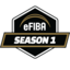eFIBA South America
