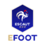 e Cup FFF - District Escaut