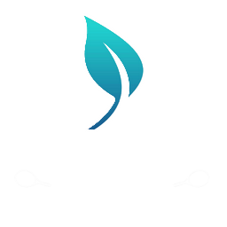 Magic Wood Tournament
