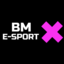 TFT monthly BM Esport