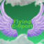 Flying Tournament