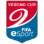 Verona Esport Cup 2024 EAFC 25