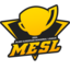 MESL